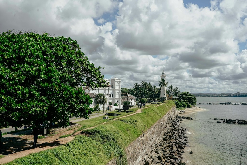 Calm water beside a lush green hillside on Sri Lanka's coast