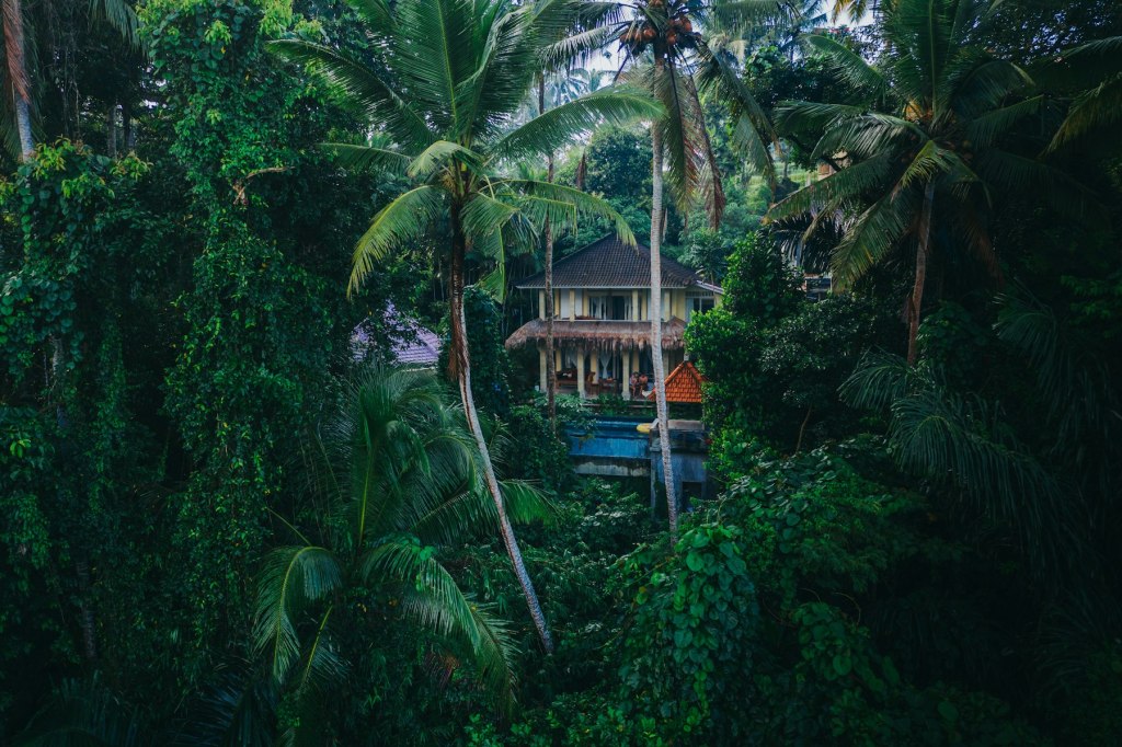 A house in the Ubud jungle surrounded by trees