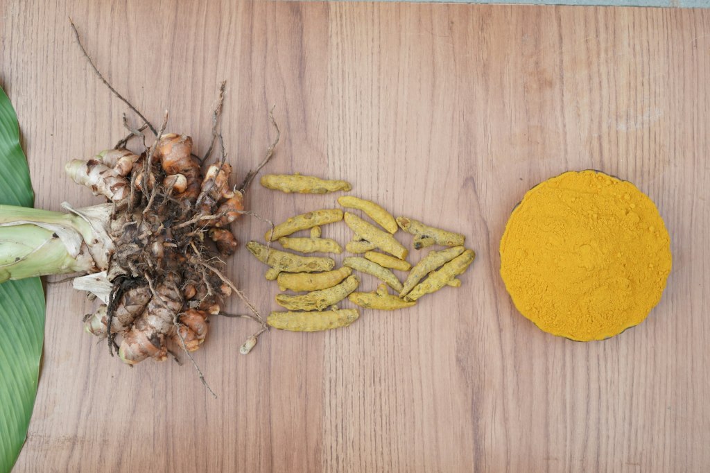 Turmeric root, slices and powder on wood, a key ingredient in Indonesian jamu