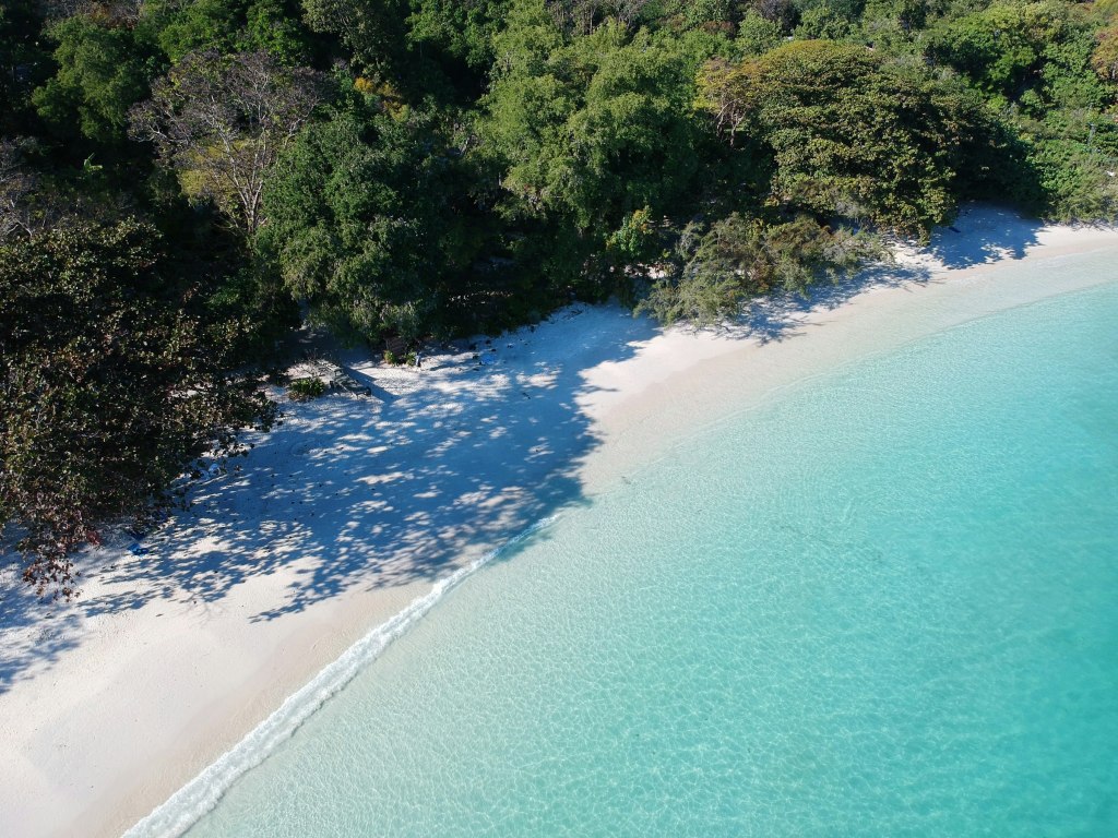 Quiet tree-lined shore on Koh Samet, Thailand