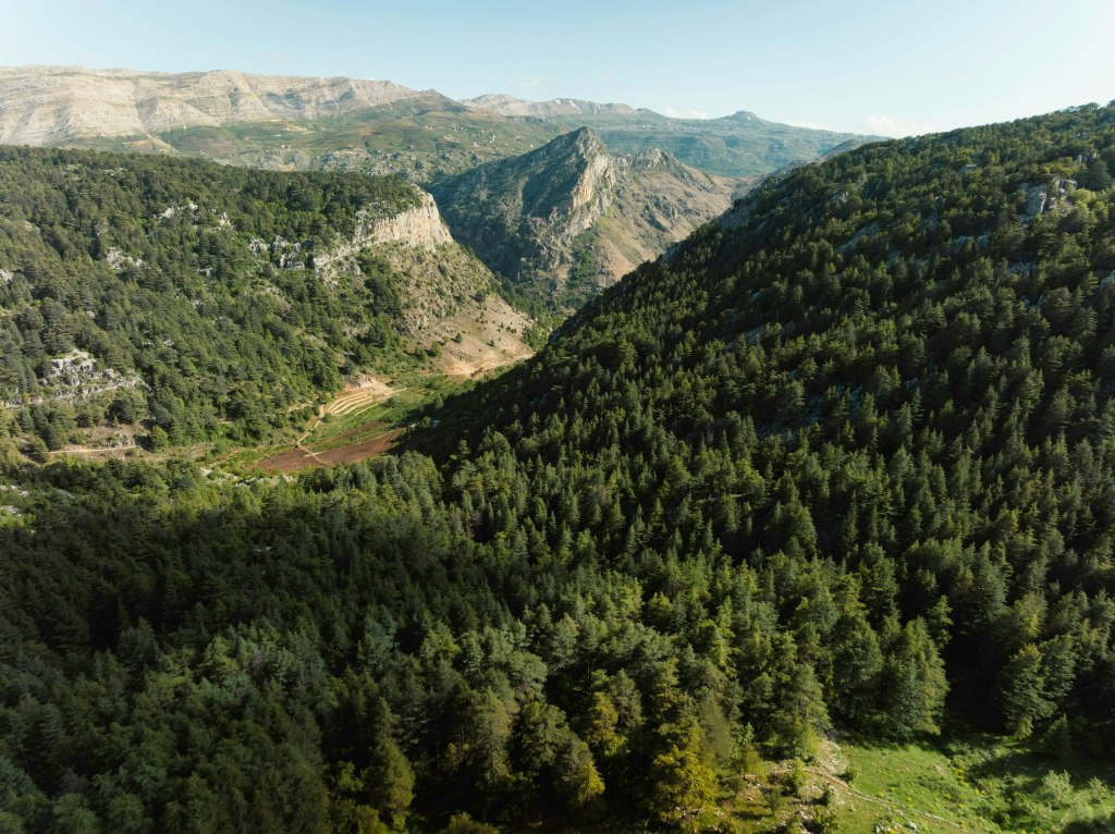 Forested mountain valley for a cedar forest walk in Lebanon