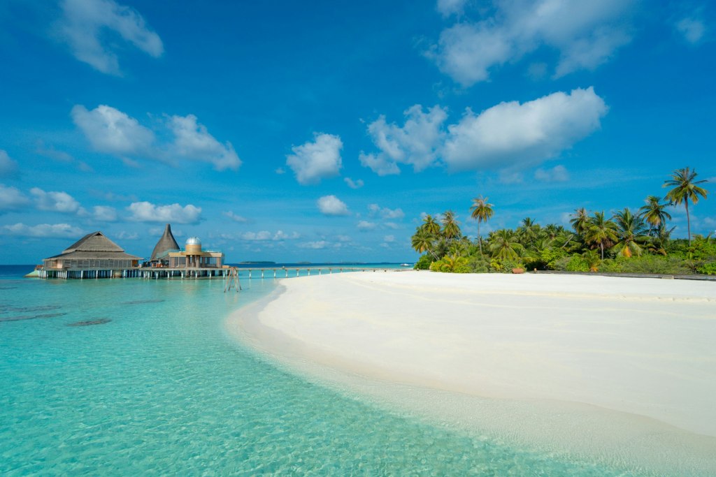 Green island trees beside calm blue lagoon water under a clear sky in the Maldives
