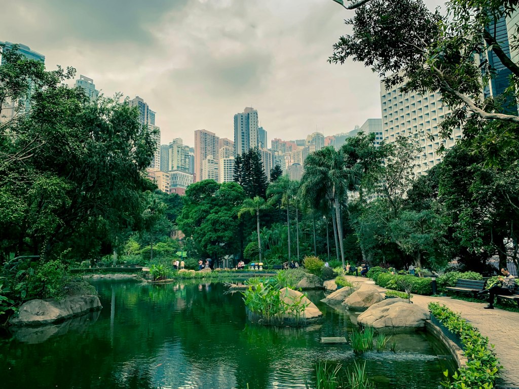 A calm pond and greenery in a Hong Kong city park, a setting for morning tai chi