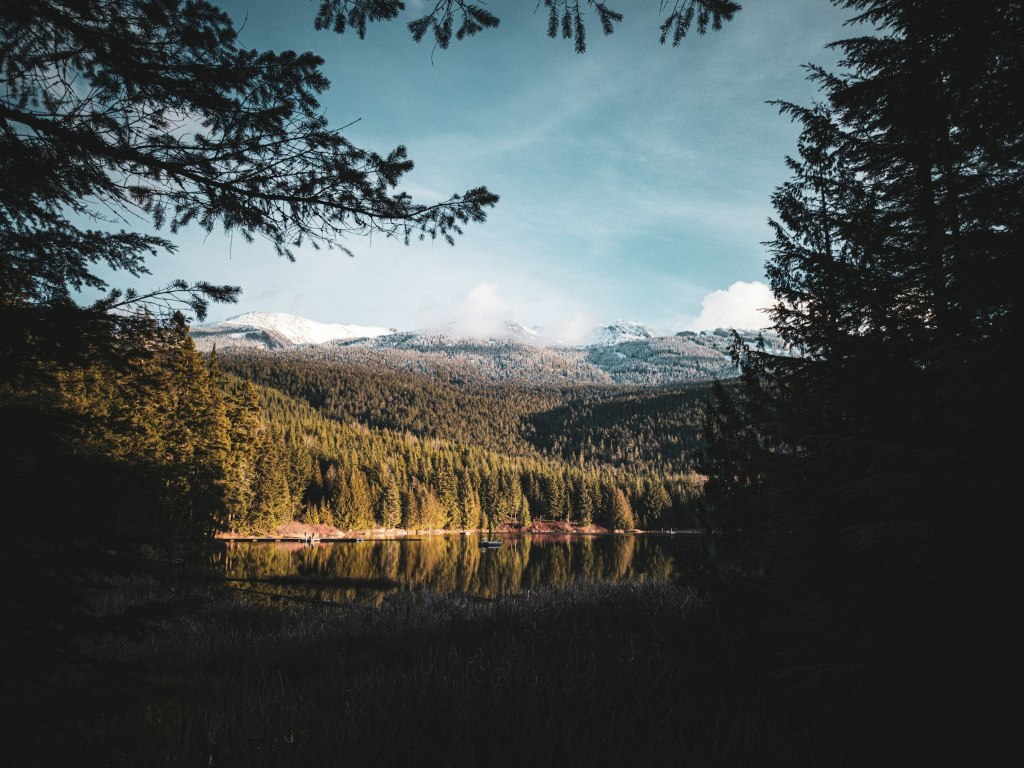 A forest lake below the Coast Mountains near Whistler, British Columbia